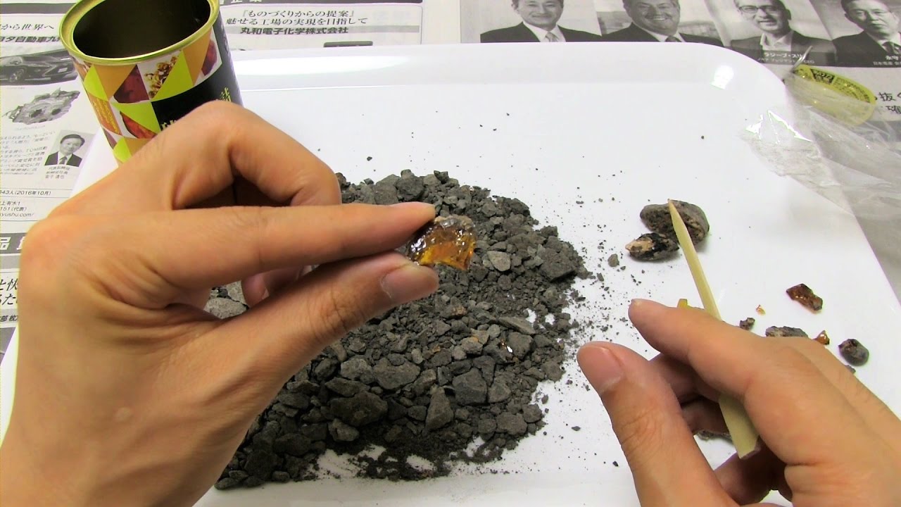 Canned Amber Discover Amber Kit Excavation Kit