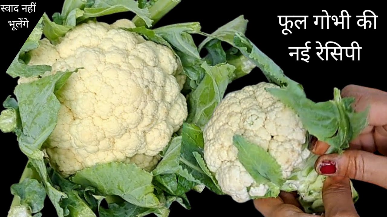 फूल गोभी की नई रेसिपी बनाकर देखना मेहमान भी उंगलियां चाटते रह जाएंगे/Cauliflower recipe/Gobhi recipe