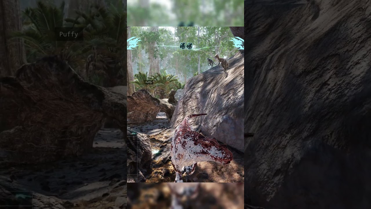 Angry baby cera - The Isle EVRIMA Ceratosaurus  #ceratosaurus  #theisleevrimagameplay