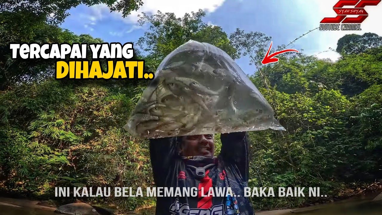Ini Baru Lubuk‼️ Seronok Betul Harini‼️
