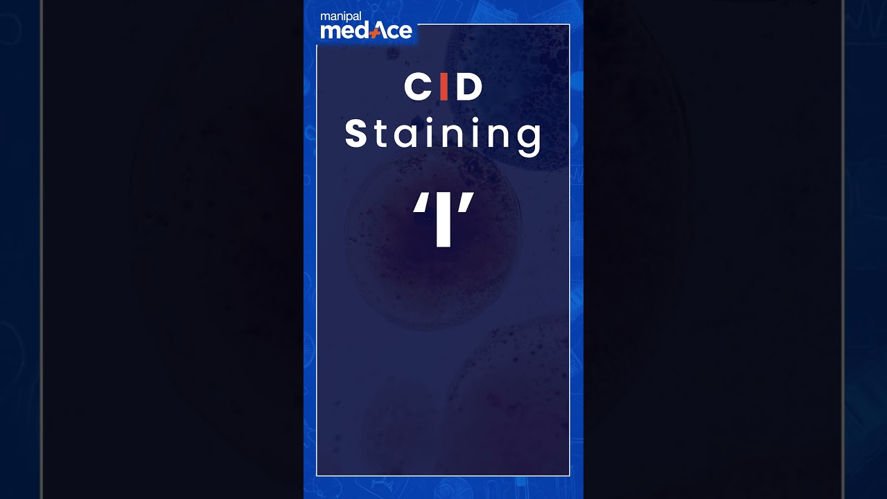 Master the Gram Staining Procedure with Easy Mnemonics | MBBS PY2