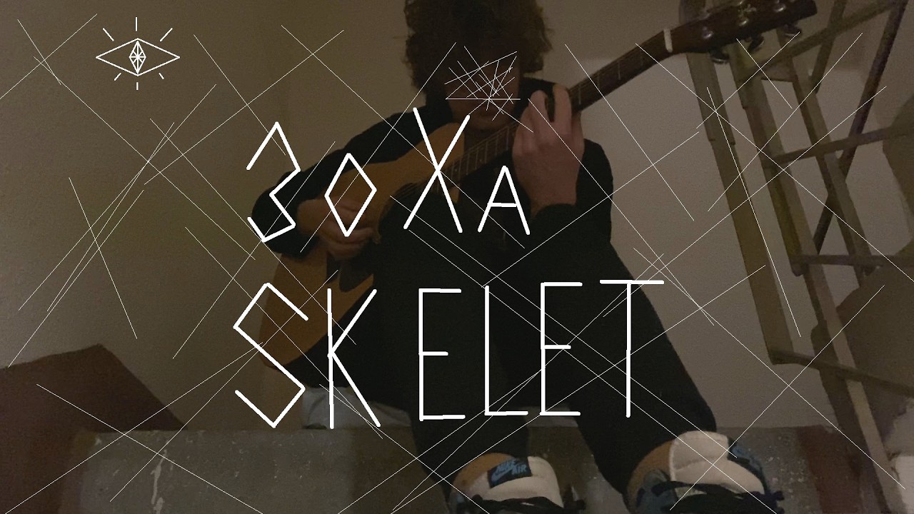 ЗоХа - SKELET (cover)