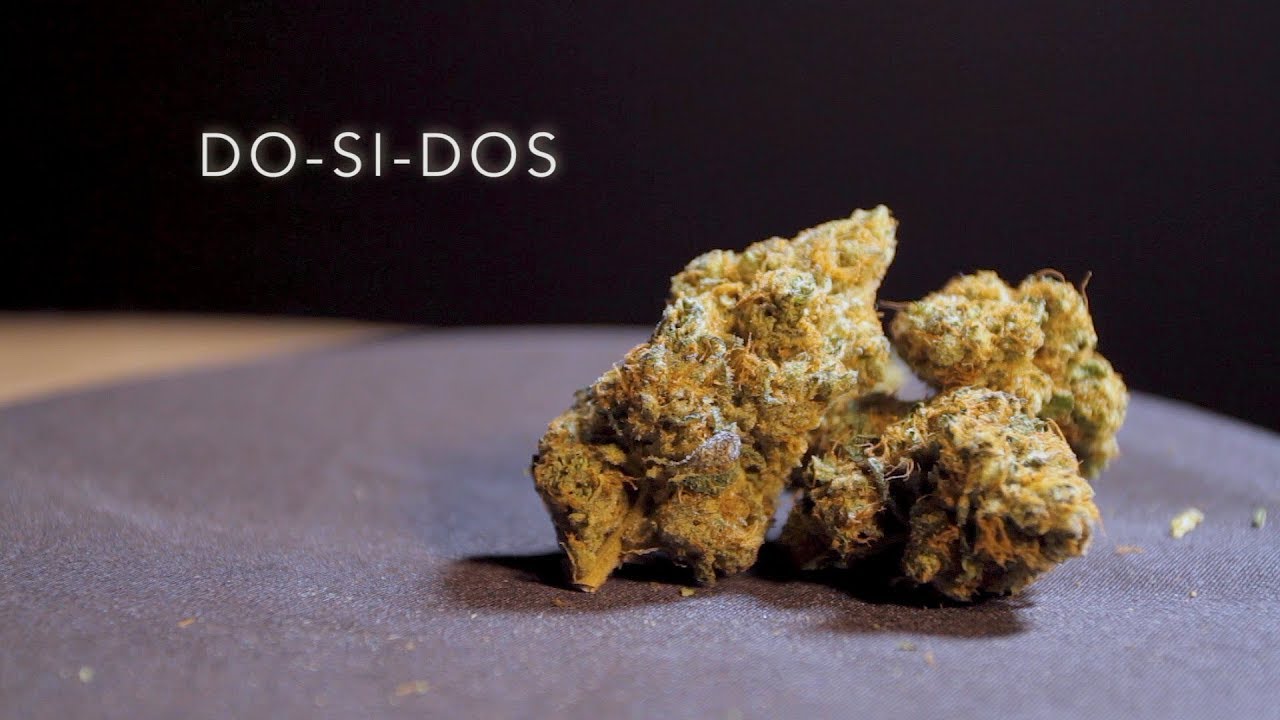 Do-Si-Dos | Strain Review | Nightly Bud