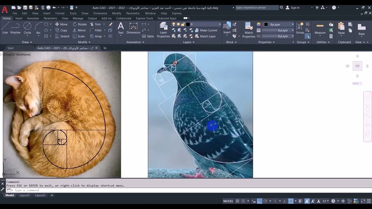 Auto CAD | تعليم رسم شكل حلزوني