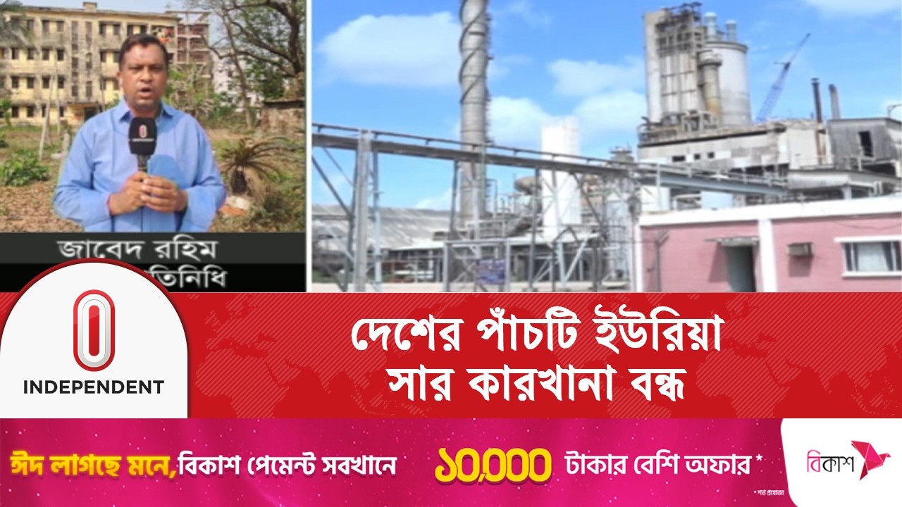 যু\দ্ধে\র কারণে দেশের পাঁচটি ইউরিয়া সার কারখানা বন্ধ |BCIC| Independent TV