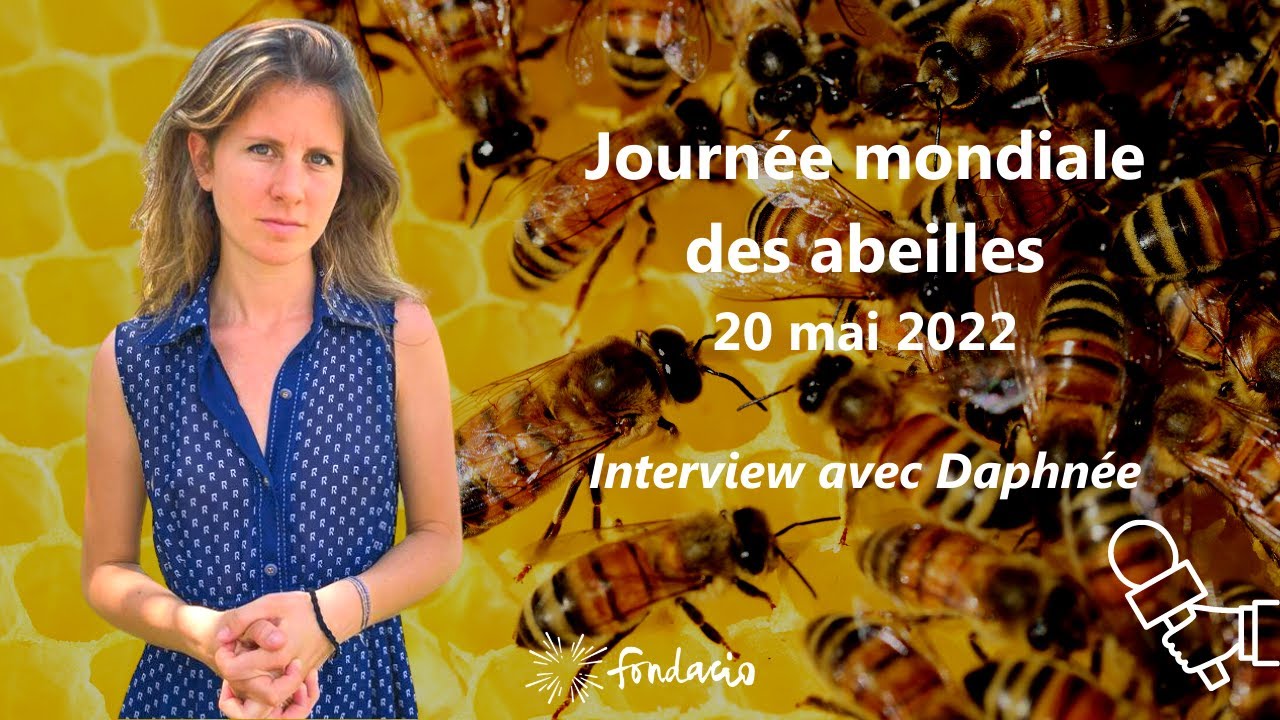 Journée mondiale des abeilles - 20 mai 2022