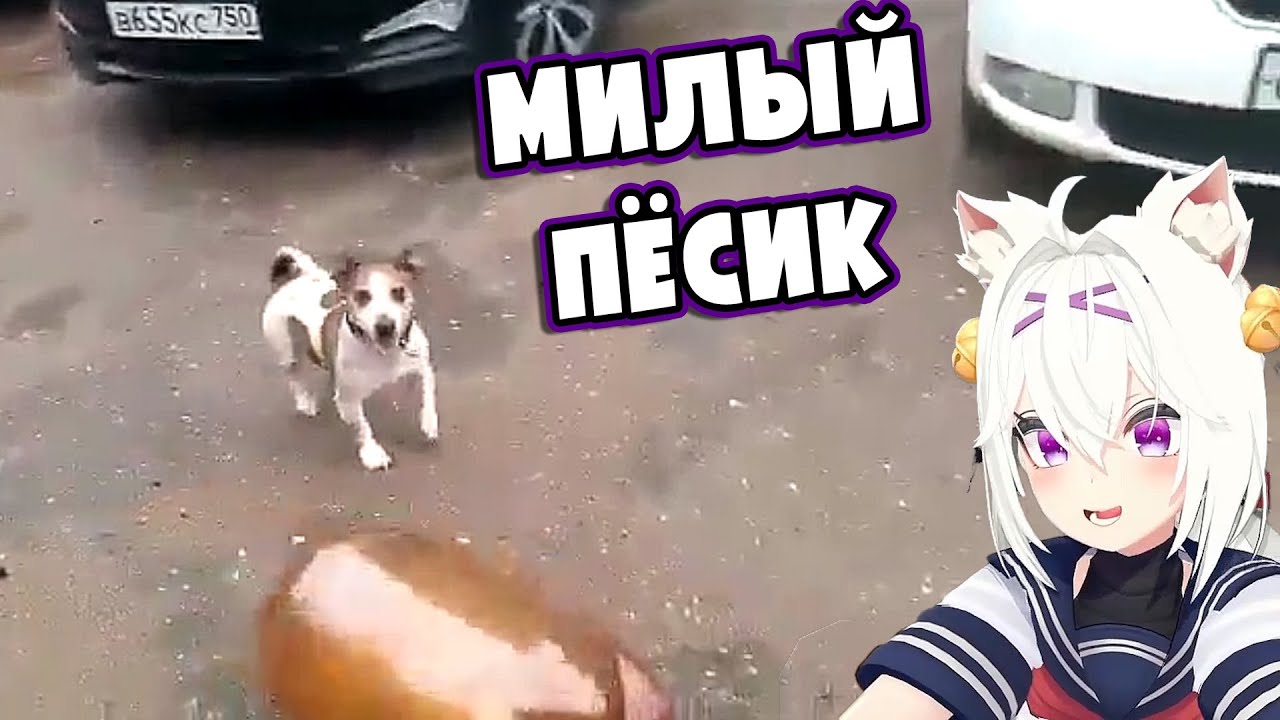 Филиан познаёт РУССКИЕ МЕМЫ | ТОП МОМЕНТОВ
