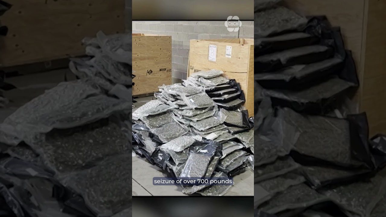 OPP lay charges against five men, seize $8M in illicit cannabis