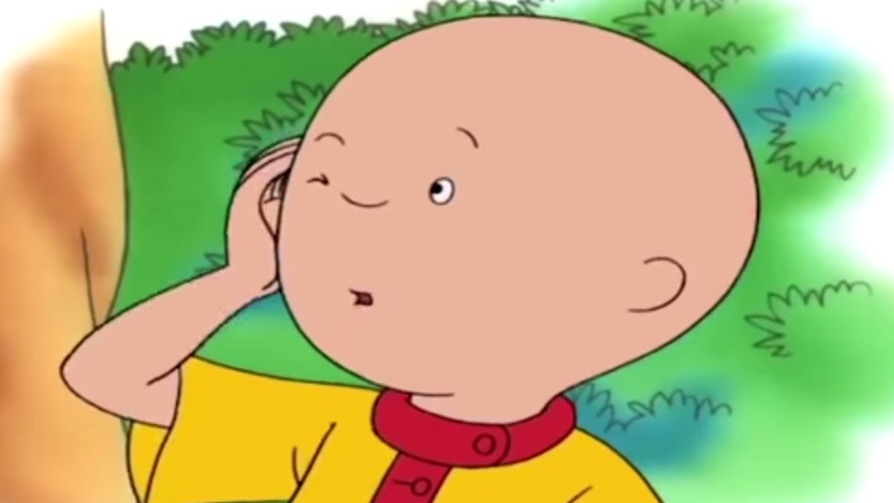 Caillou en Español | El Dolor de Cabeza de Caillou | Dibujos Infantiles Capitulos Completos