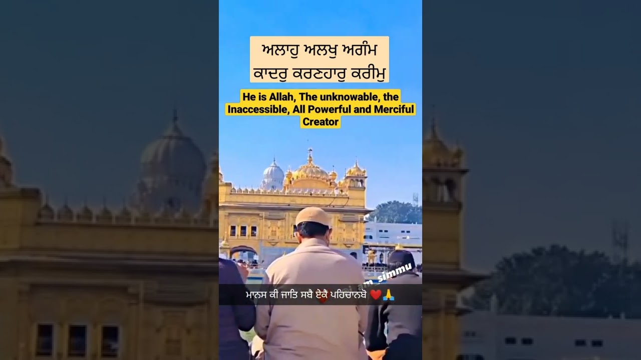 Muslim brothers At Golden Temple #shorts #humanity #brotherhood #muslim #sikh