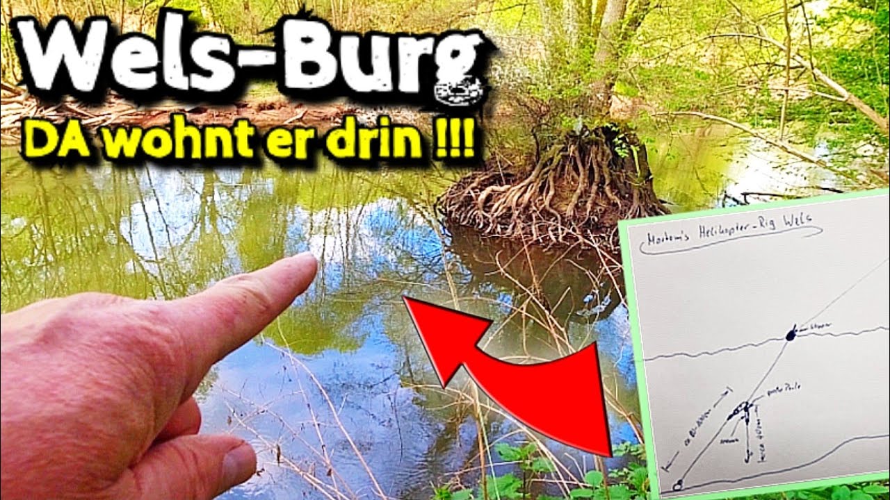 Wallerangeln am Fluß vom Ufer | Neue Helikopter-Montage im TEST (inkl. Bauanleitung)