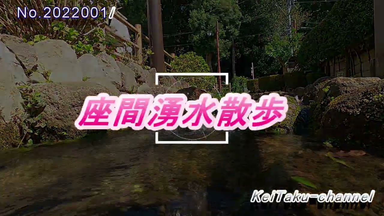 座間湧水散歩