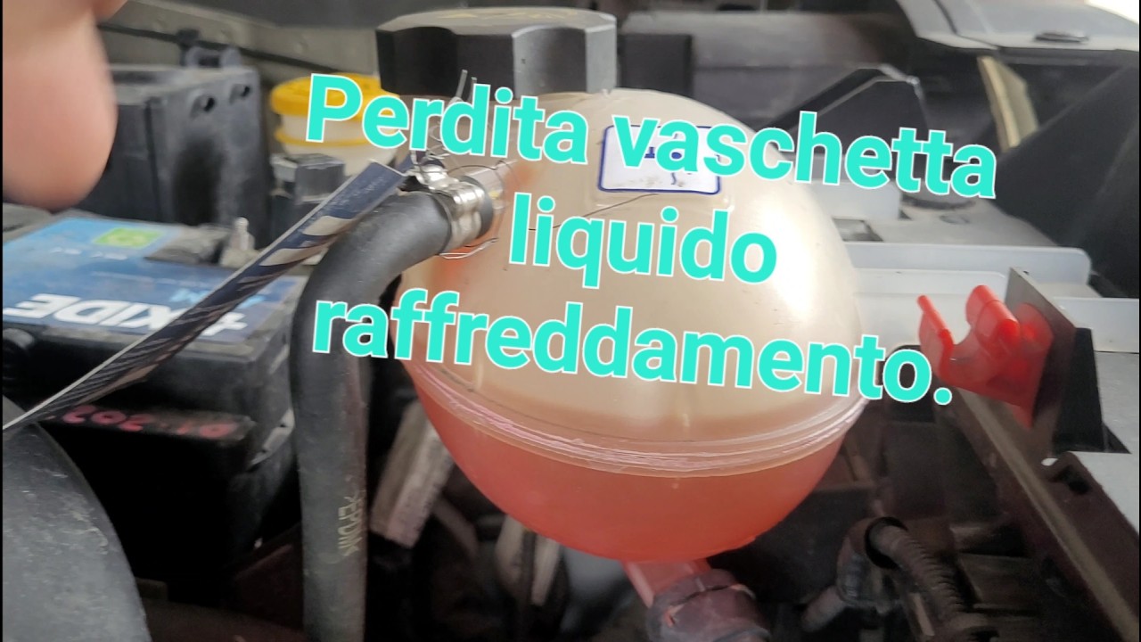 Perdita vaschetta liquido refrigerante.