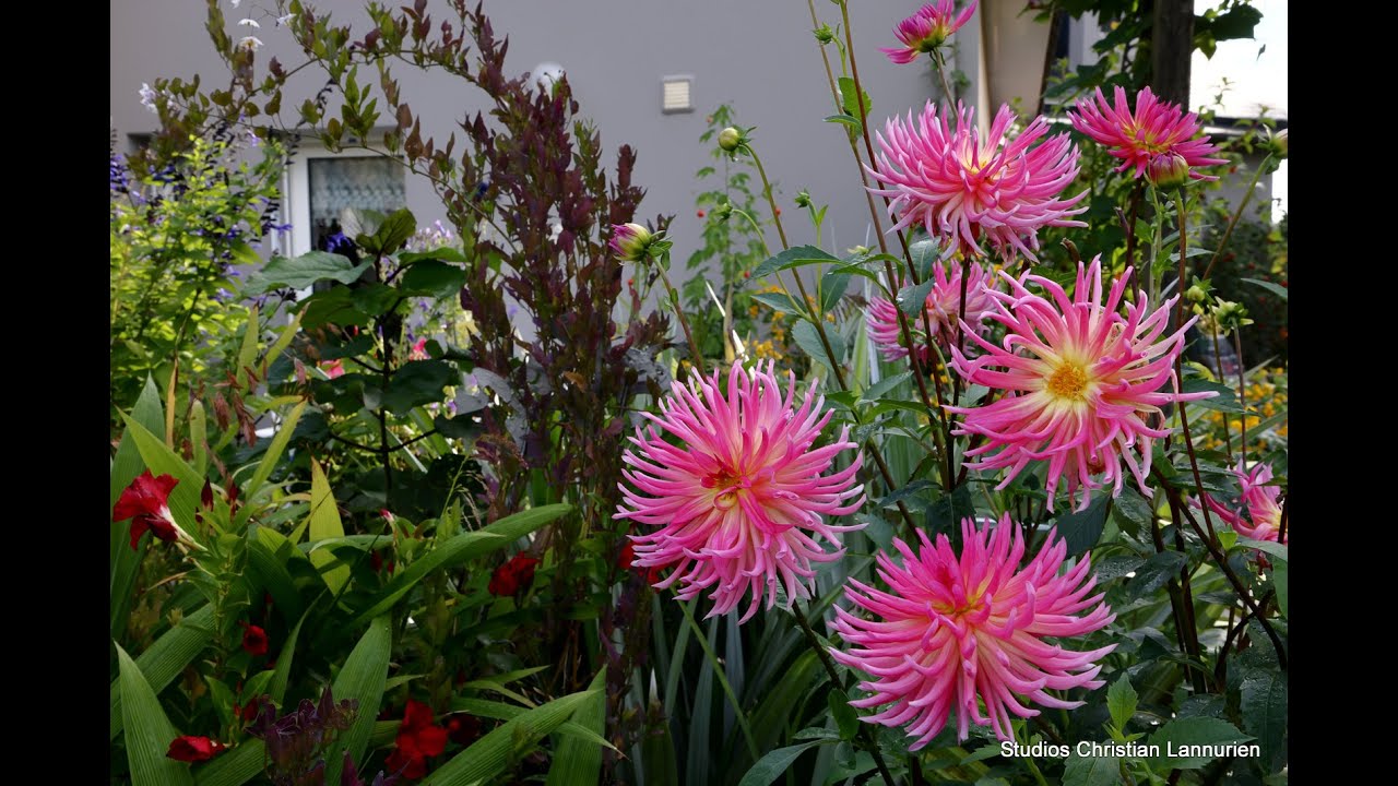 Jardins privés en Bretagne : En ce début d'Automne   4K UHD . 02 Octobre 2025