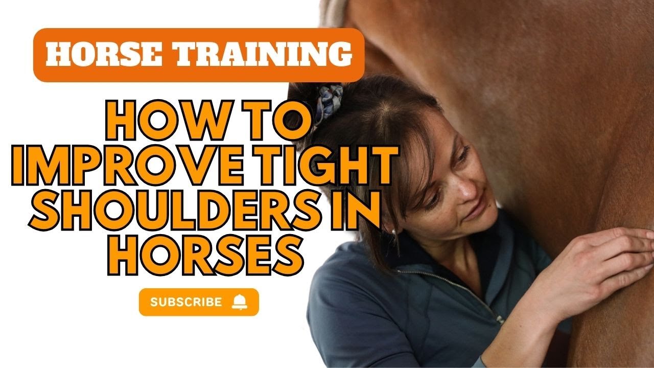 Horse training: How to improve tight shoulders in horses
