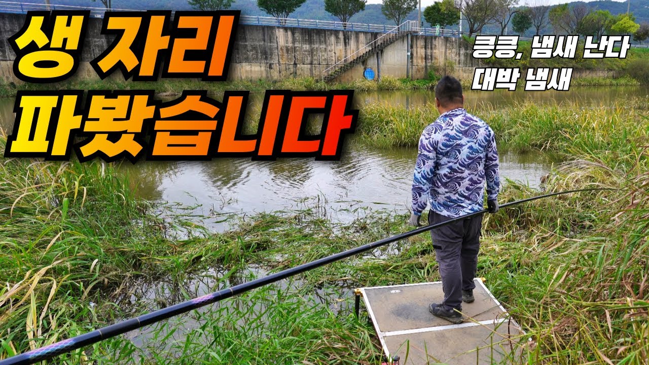대물들이 모이는 포인트 / 이래서 생자리, 생자리 하는구나 / 철원 동송수로 붕어낚시