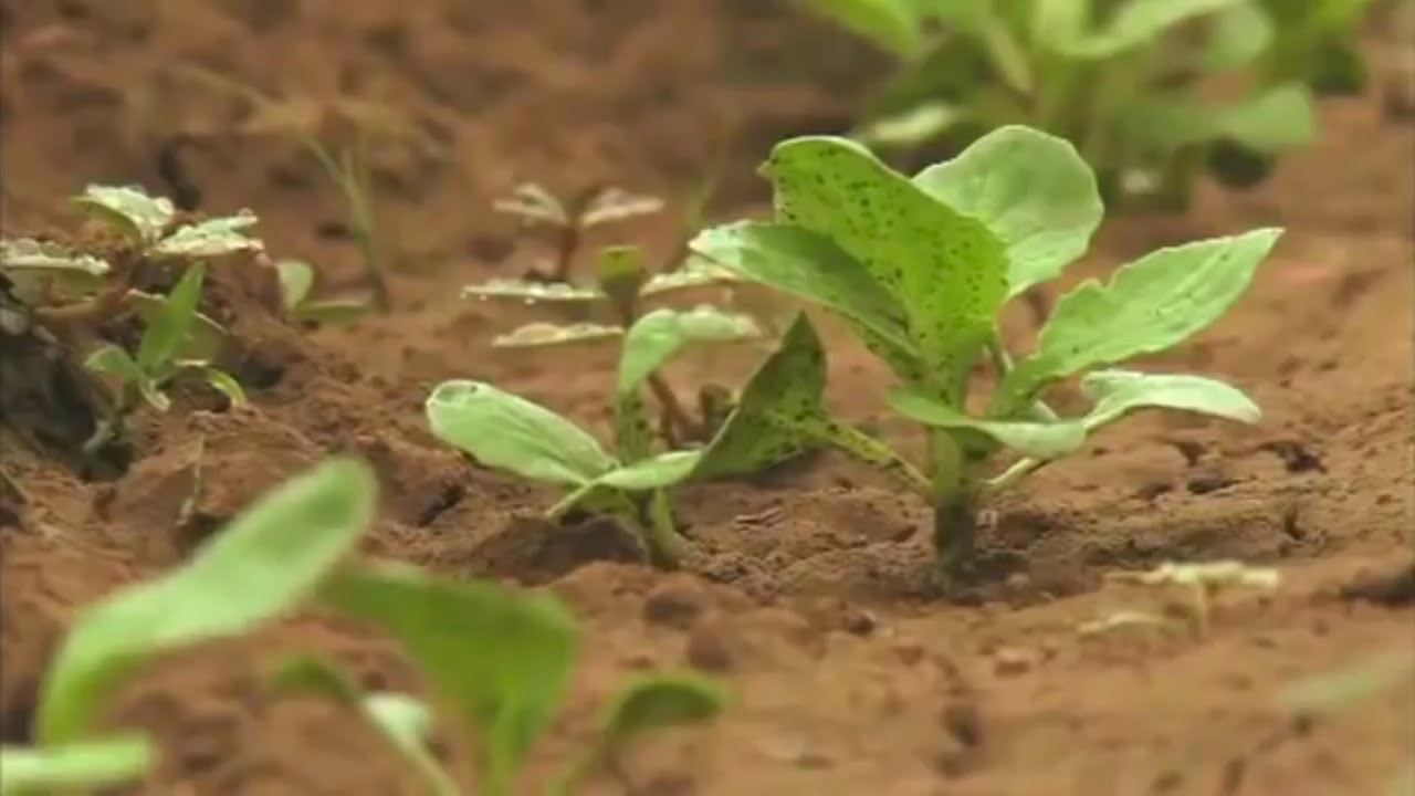 L'EAU STRUCTUR&Eacute;E: UNE SOLUTION DURABLE