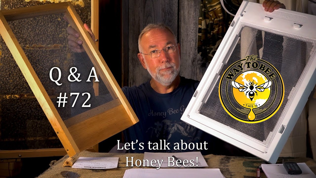Backyard Beekeeping Questions & Answers #72 Screened Bottom Boards and more!