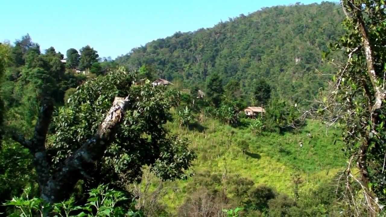 Tribu Lahu - Thailande - L'Ecolier, le Saint, le Garde et le Malade