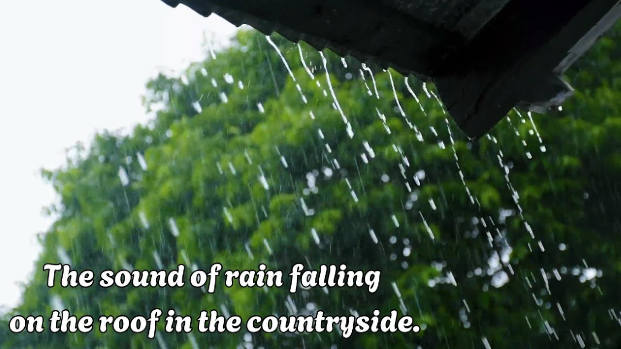 Rain on Roof White Noise 🌧️ |  Sounds for Sleep, Concentration, and Meditation