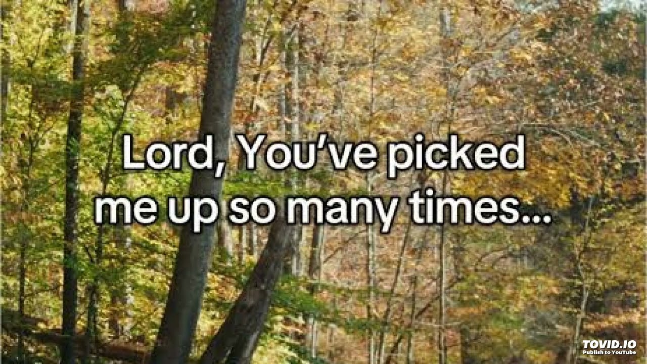Lord You picked me up so many times