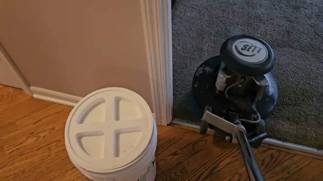 Cleaning Filthy Dirty Rental Carpets Using SETT / VLM