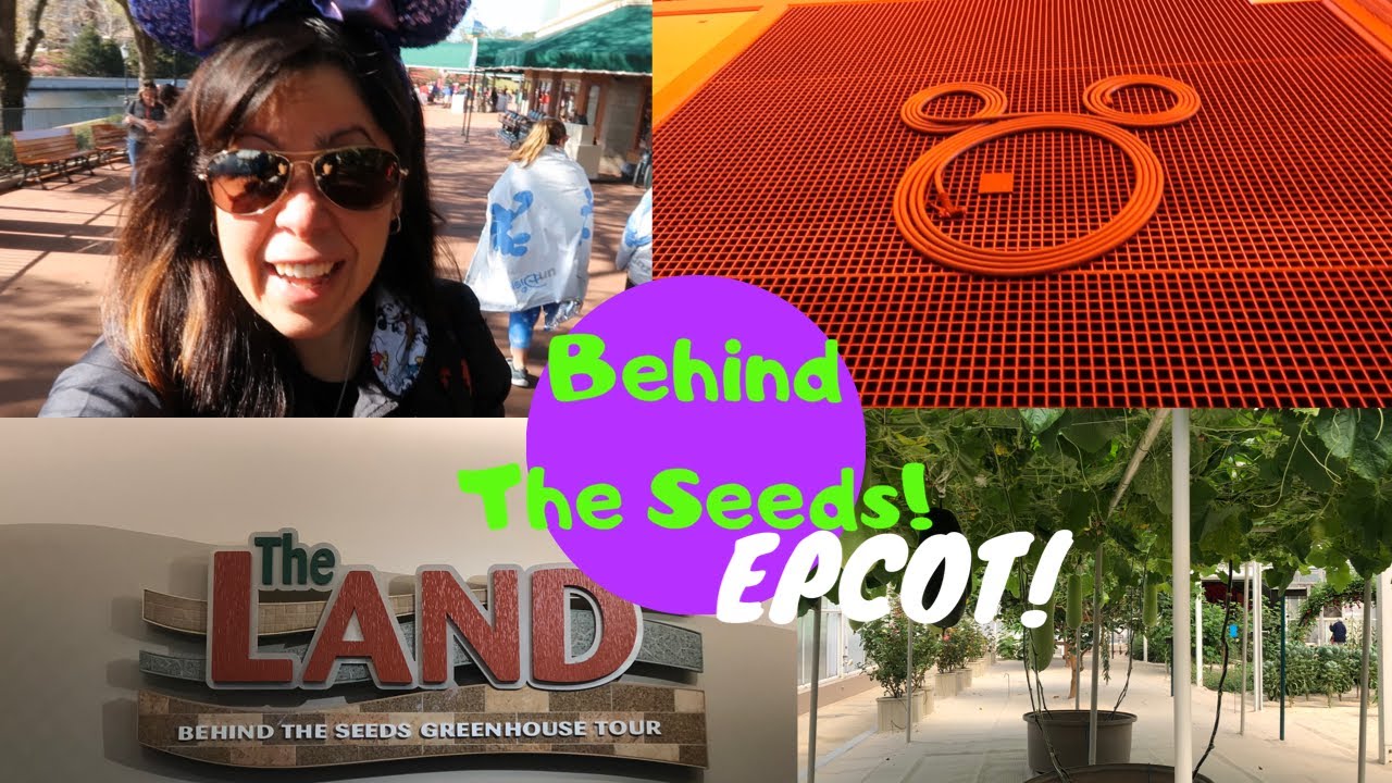 Epcot | The Land: Behind The Seeds Tour!