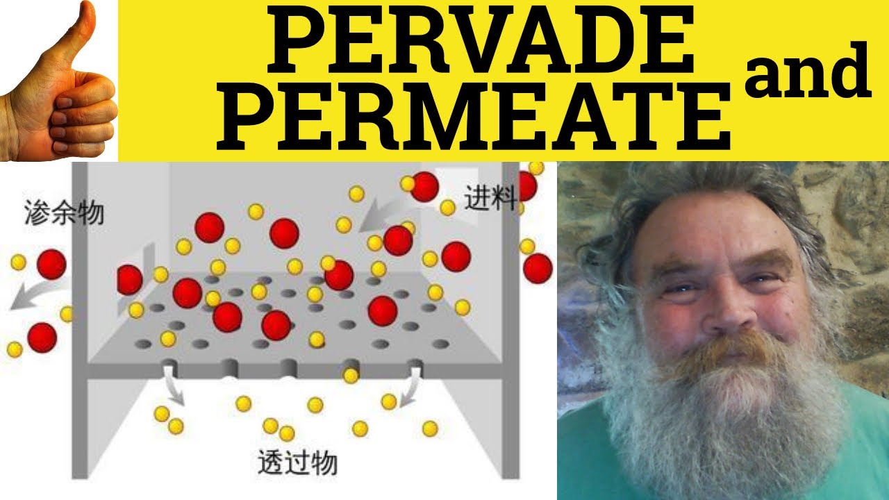 🔵 Pervade and Permeate - Pervade Meaning - Permeate Examples - Pervasive Definition