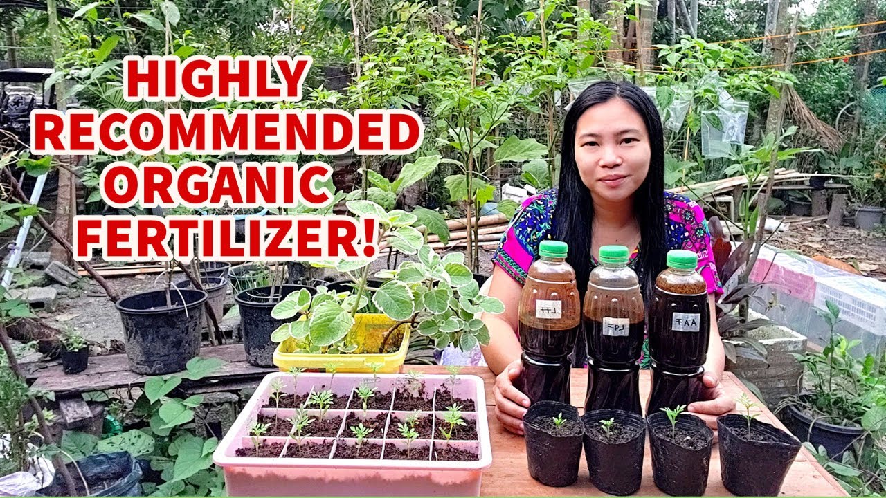 PAANO GUMAWA NG 3 TYPES NG FERMENTED ORGANIC FERTILIZER - PAMPABULAKLAK AT PAMPABUNGA NG MGA HALAMAN