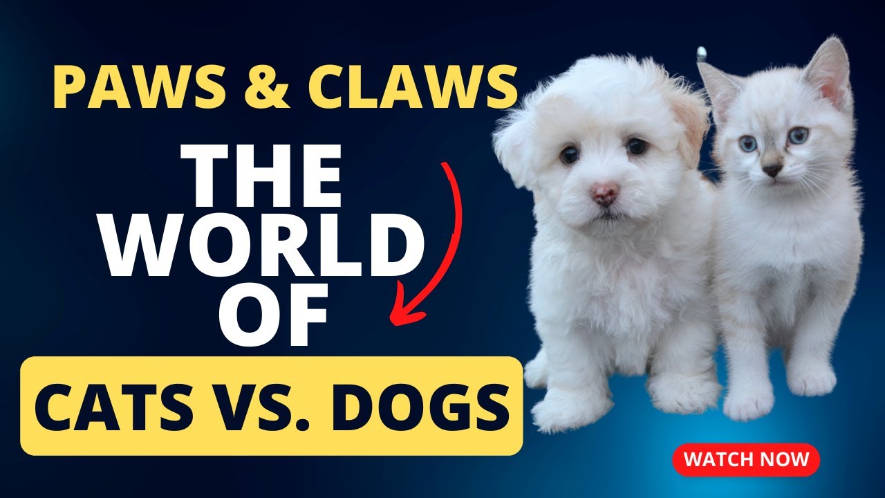 Paws and Claws: The World of Cats vs. Dogs #dogs #catlover #doglover