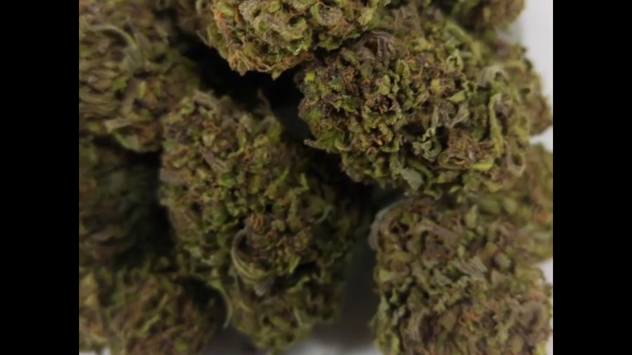 Blueberry Trainwreck: Alis Select