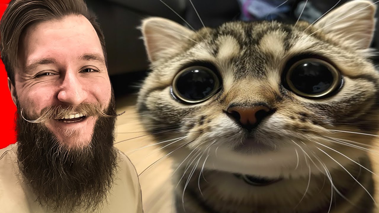 chipi chipi chapa chapa rubi rubi raba raba