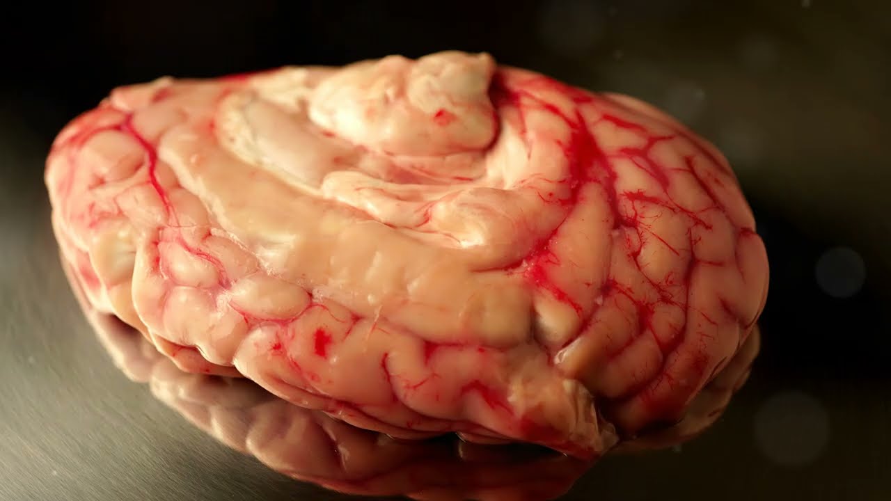 The Power of the Navel: Your True Center of Life | Spiritual Awakening