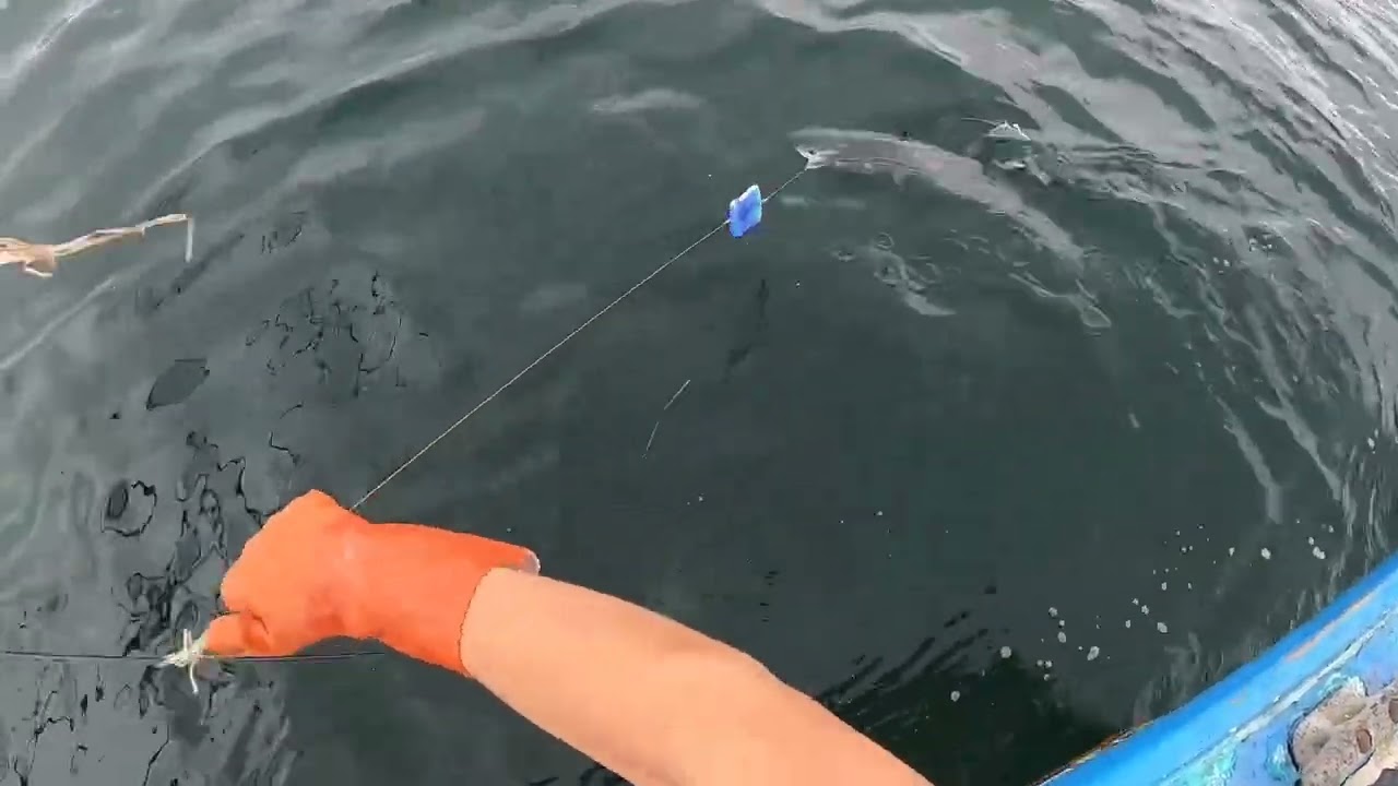 Salmon Trolling Southeast Alaska 2023