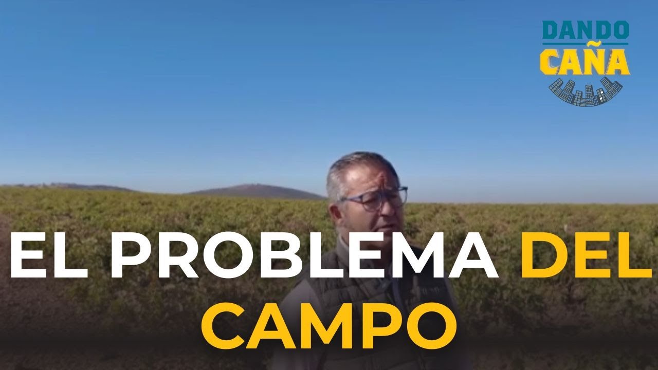 Burocracia y falta de relevo generacional, los problemas que atraviesa el campo