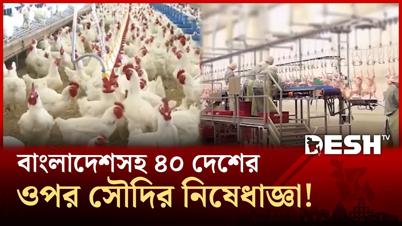 বার্ড ফ্লুর ঝুঁকি: বাংলাদেশসহ ৪০ দেশে সৌদি আরবের নিষেধাজ্ঞা! | Saudi Arabia | Desh TV
