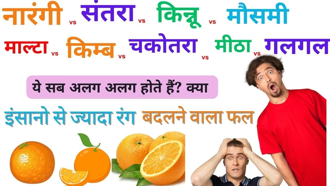 Citrus Fruits || Orange vs Santra vs Kinnu vs Malta vs Mosambi vs Mitha vs Kimb vs Galgal vsChakotra