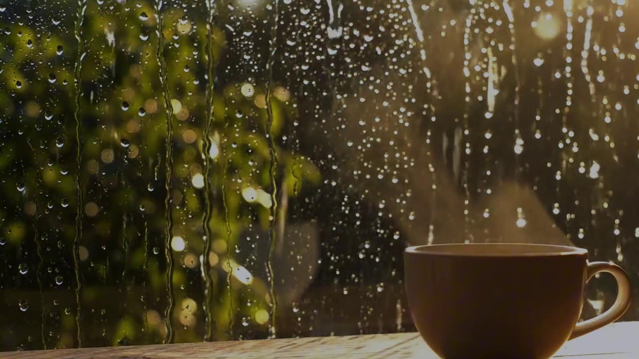 RainVibes ASMR Presents: Soothing Rain Sounds for Meditation (No Ads)