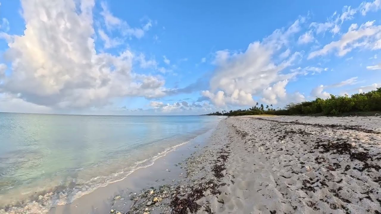 January Morning Walk Palm Beach - Aruba