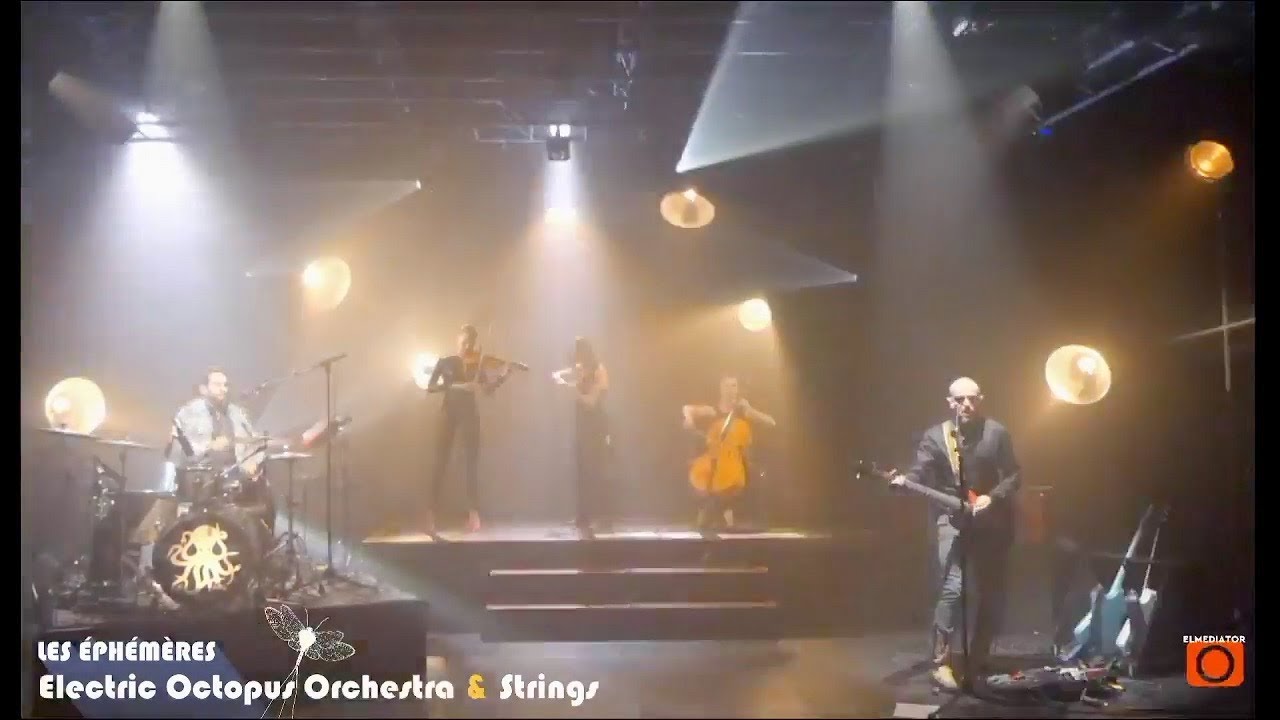 Les Éphémères #1 : Electric Octopus Orchestra & Strings