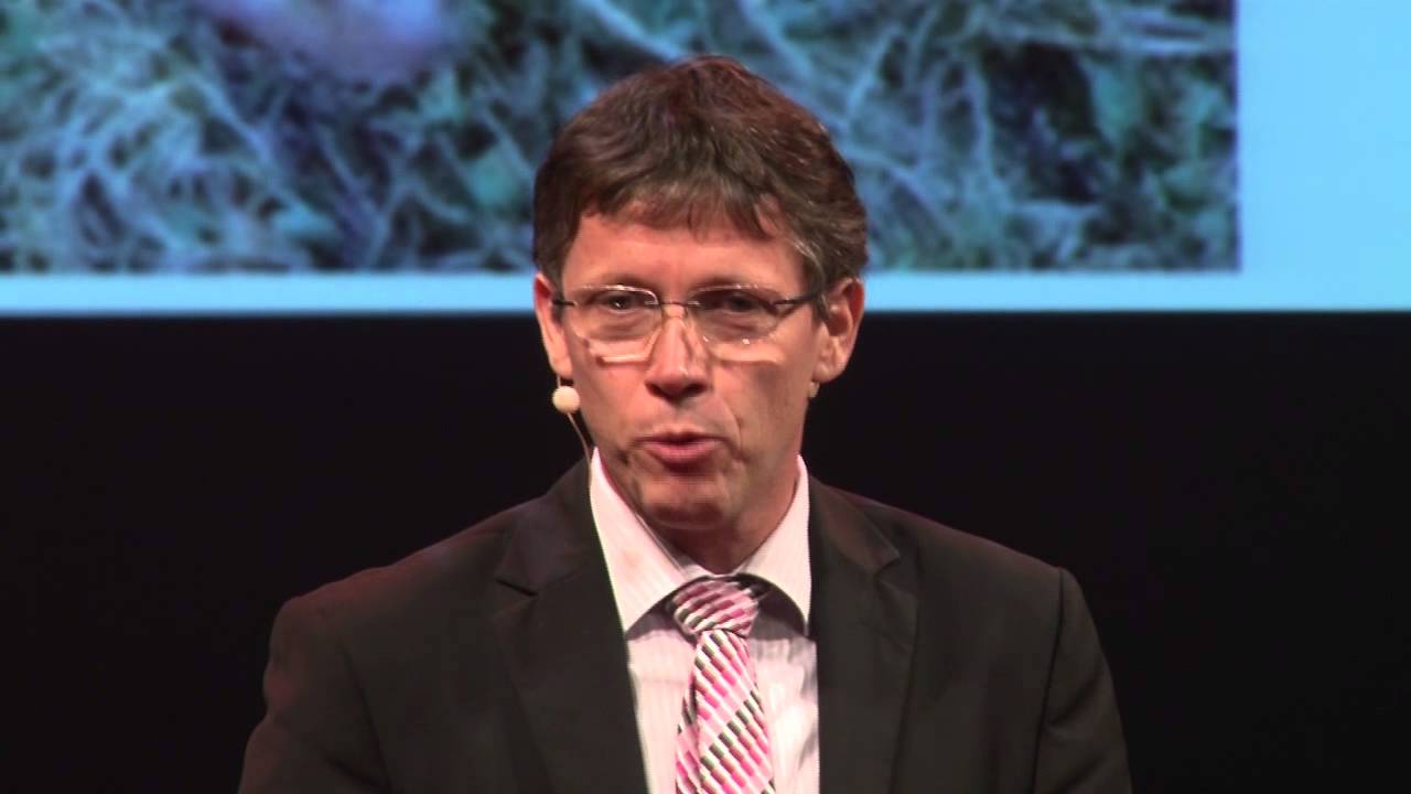 Pobijte svoje piščance | Aleš Lisac | TEDxLjubljana