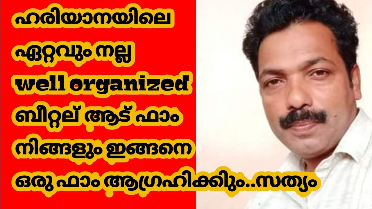 ഹരിയാനയിലെ ഏറ്റവും നല്ല  well organized  ബീറ്റല് ആട് ഫാം,നിങ്ങളും ഇങ്ങനെ ഒരു ഫാം ആഗ്രഹിക്കിും..സത്യം