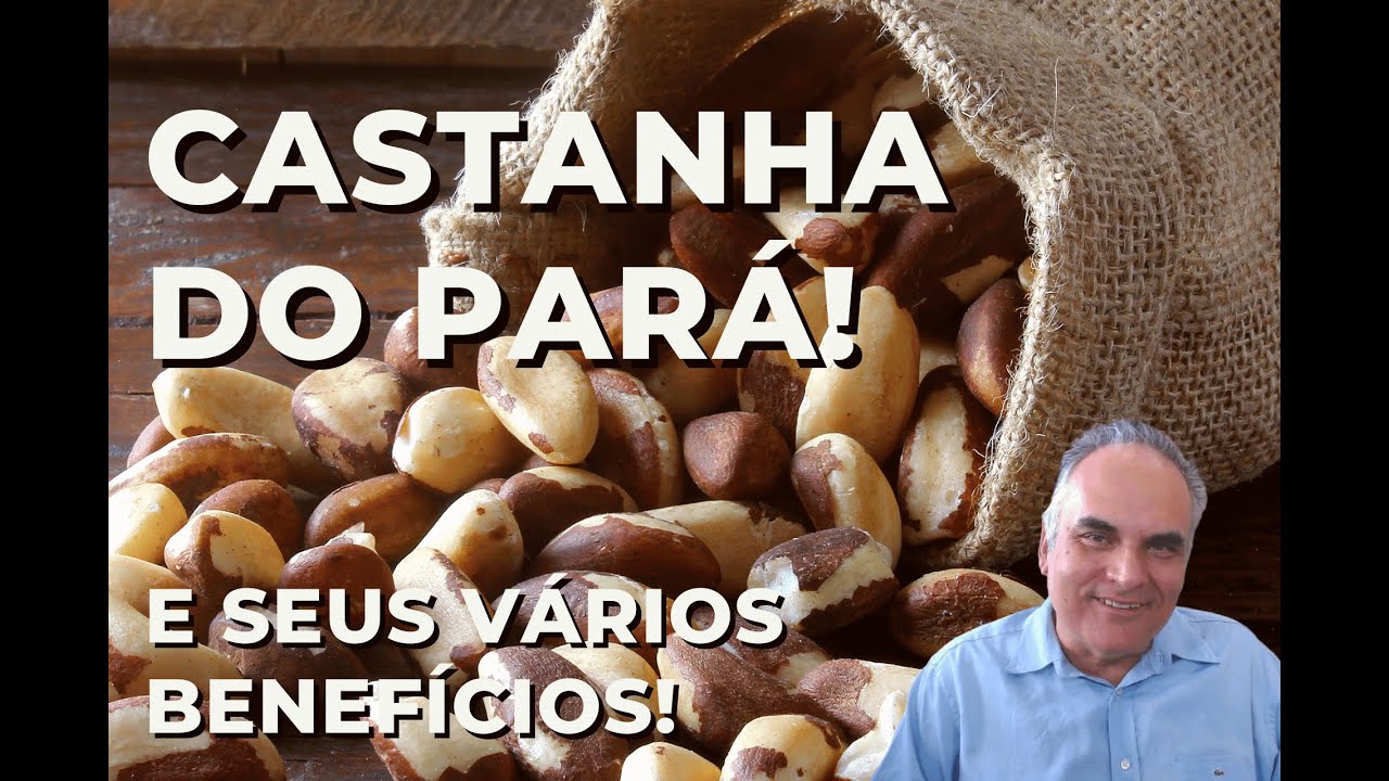 Castranha do Pará! Veja os benefícios maravilhosos desta oleaginosa!