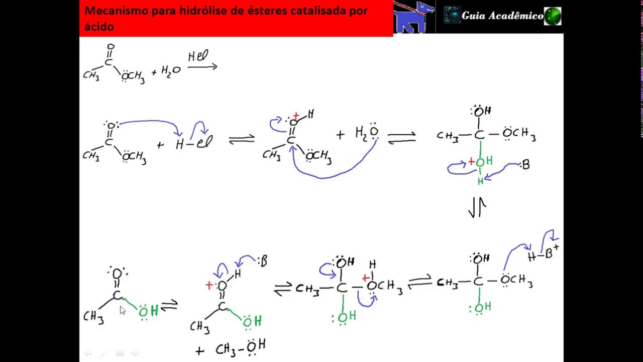 194- Mecanismo para hidrólise de éster catalisada por ácido