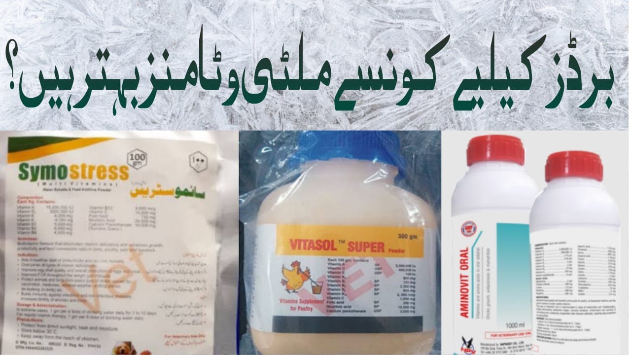 Which One is Best Multivitamin For Birds || Vitasol Super || Symo Stress || Aminovit Oral