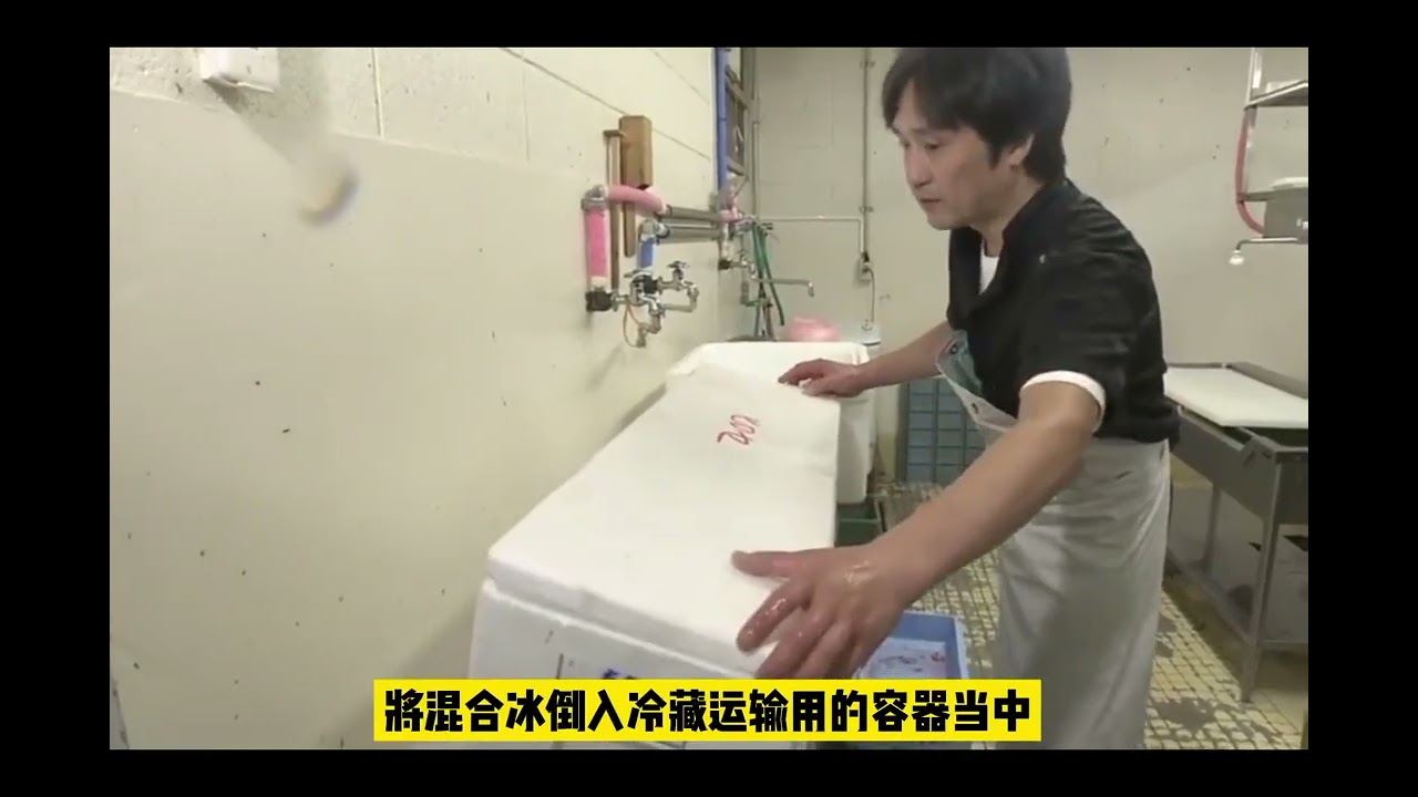 世界首创：日本瞬间冷冻技术！仅仅数十秒，活鱼成冻鱼 #食物保鲜 #日本生鲜 #日本技术 #日本制造业的核心科技
