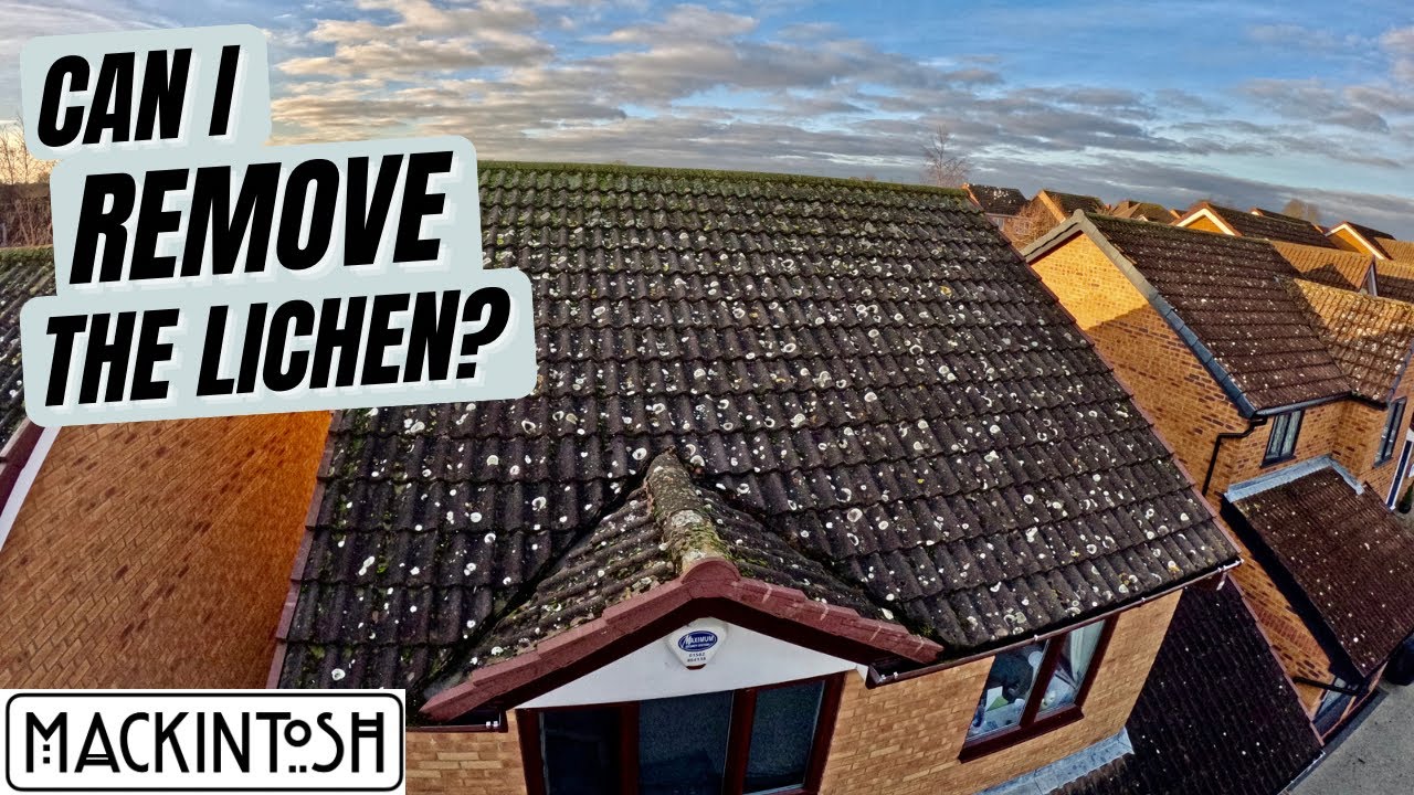 Can I Remove The Lichen From This Roof?