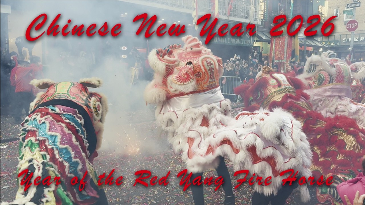 Chinese New Year 2026 Lion Dances #4 hosted by Grandmaster Norman Chin in Chinatown NYC.
