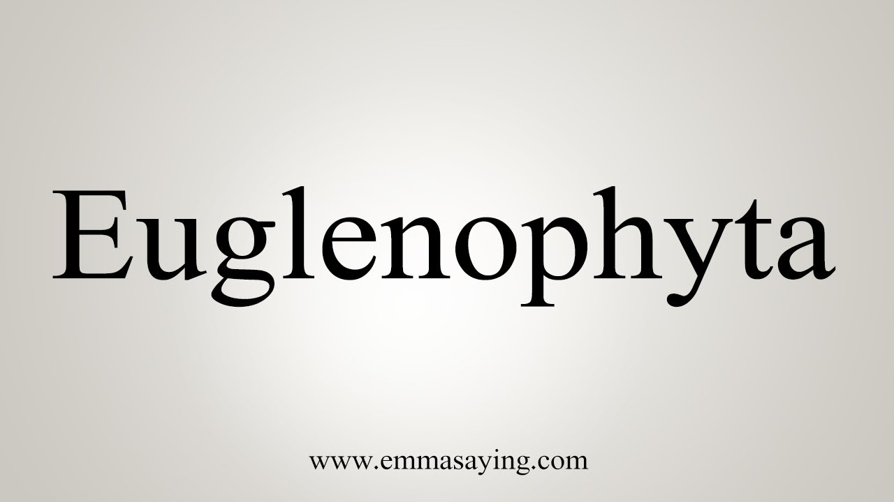 How To Say Euglenophyta