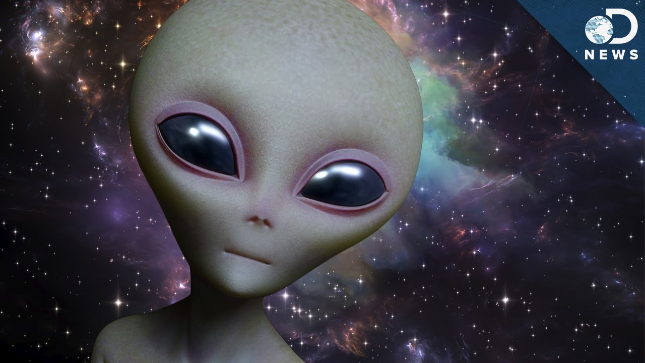 What Could Alien Life Really Look Like?